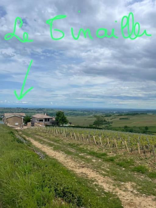 Le Tinailler Grand Standing Au Coeur Des Vignes Villa Prissé Kültér fotó