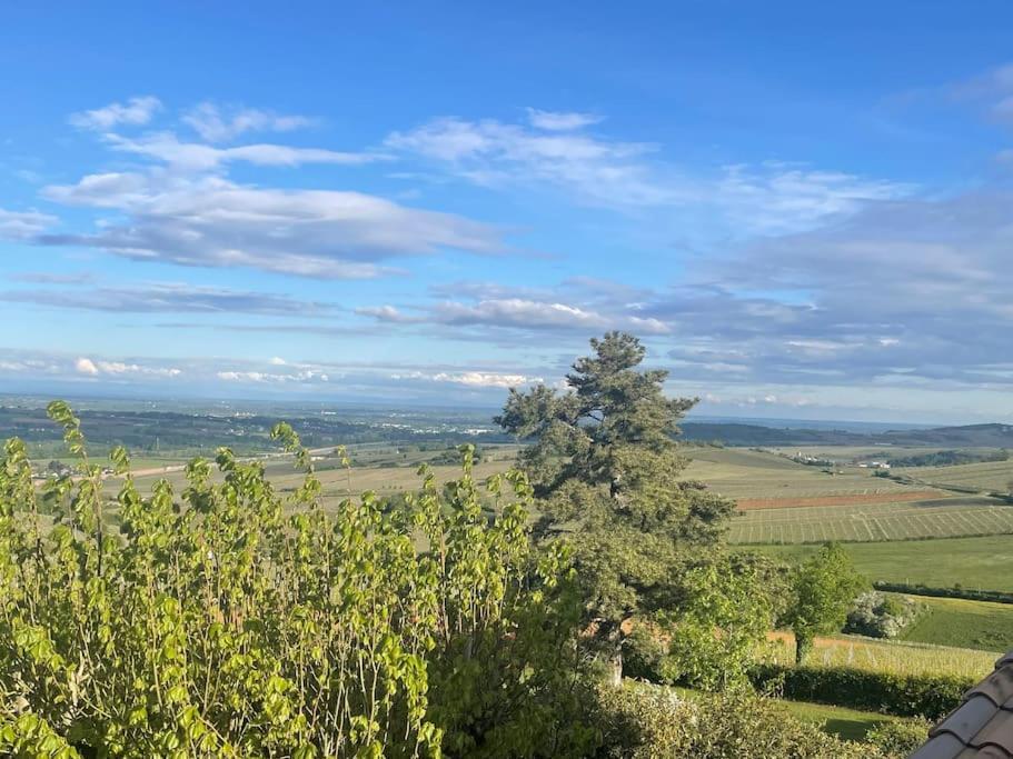 Le Tinailler Grand Standing Au Coeur Des Vignes Villa Prissé Kültér fotó