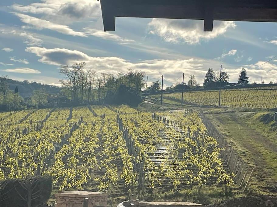 Le Tinailler Grand Standing Au Coeur Des Vignes Villa Prissé Kültér fotó