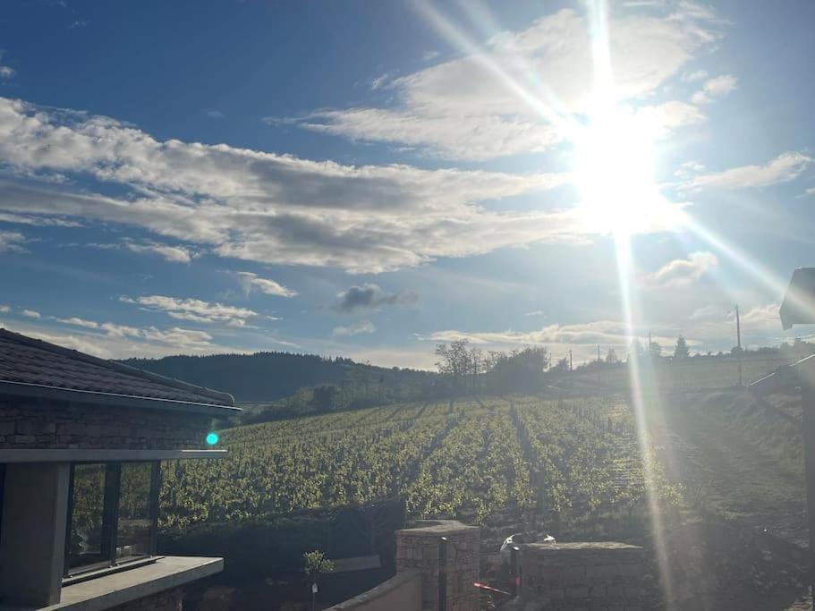 Le Tinailler Grand Standing Au Coeur Des Vignes Villa Prissé Kültér fotó